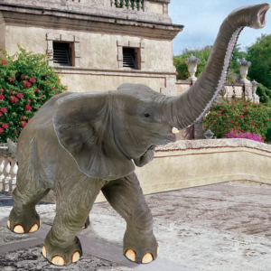 Trunk Up Baby Elephant
