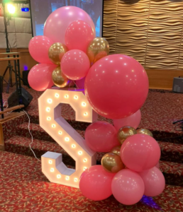 Fort-Lauderdale-Balloon-decor-for-gender-reveal-party